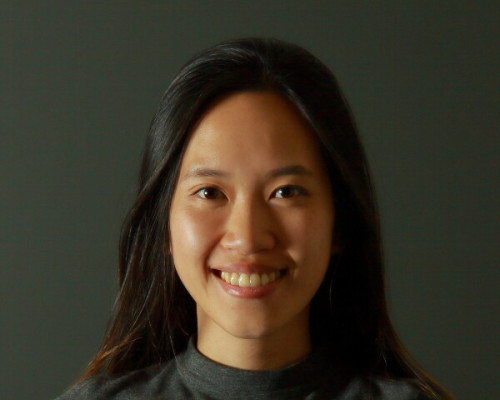 Anh Duong Vo