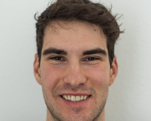 Julien Schmidt