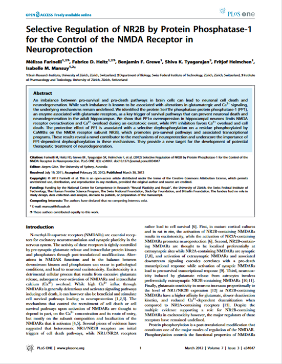 Selective Regulation of NR2B by Protein Phosphatase-1 for the Control of the NMDA Receptor in Neuroprotection