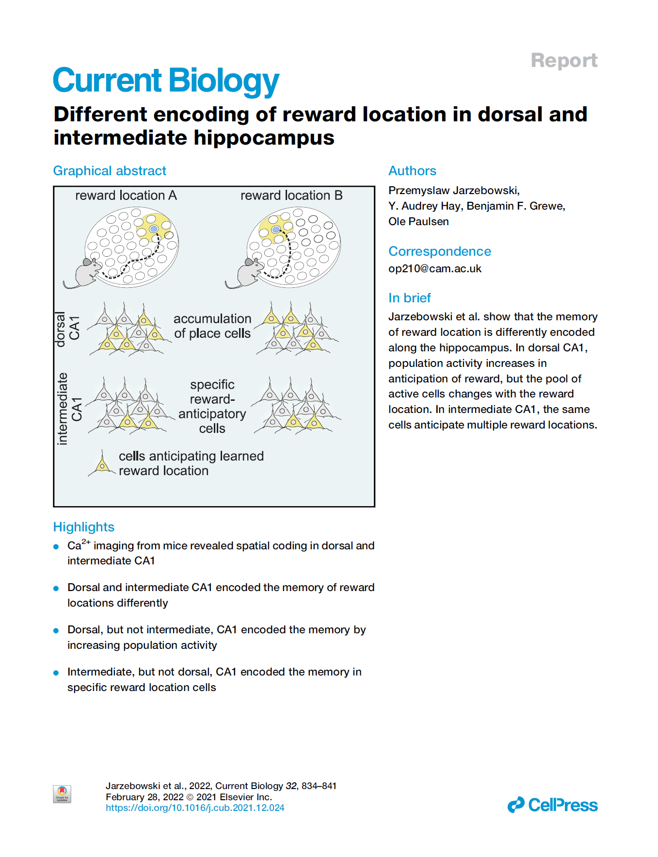 Different encoding of reward location in dorsal and intermediate hippocampus