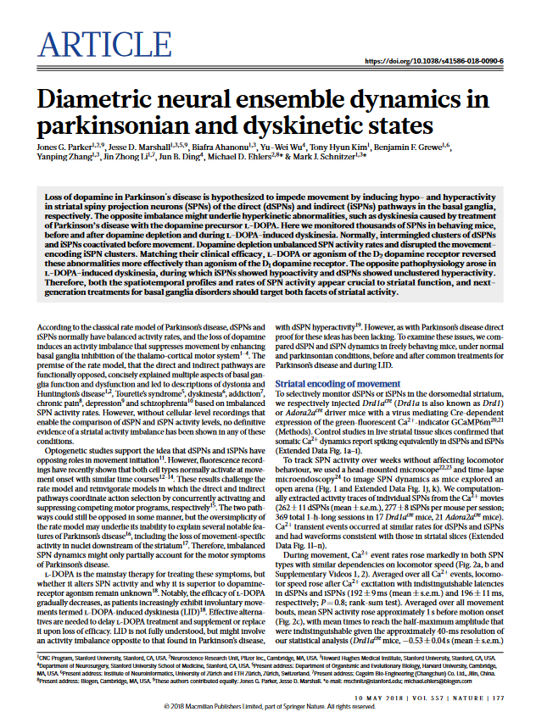 Diametric neural ensemble dynamics in parkinsonian and dyskinetic states.