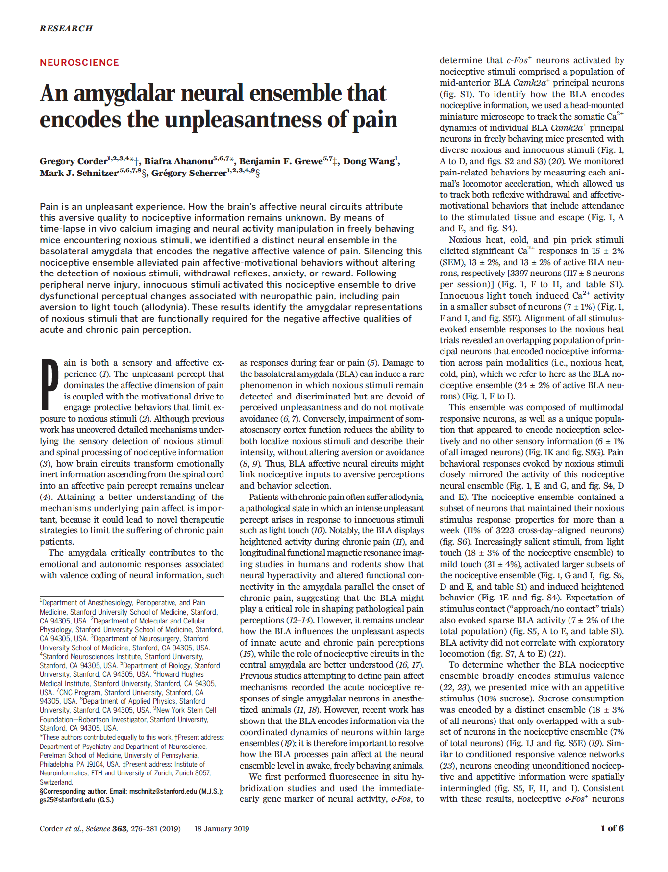 An amygdalar neural ensemble that encodes the unpleasantness of pain