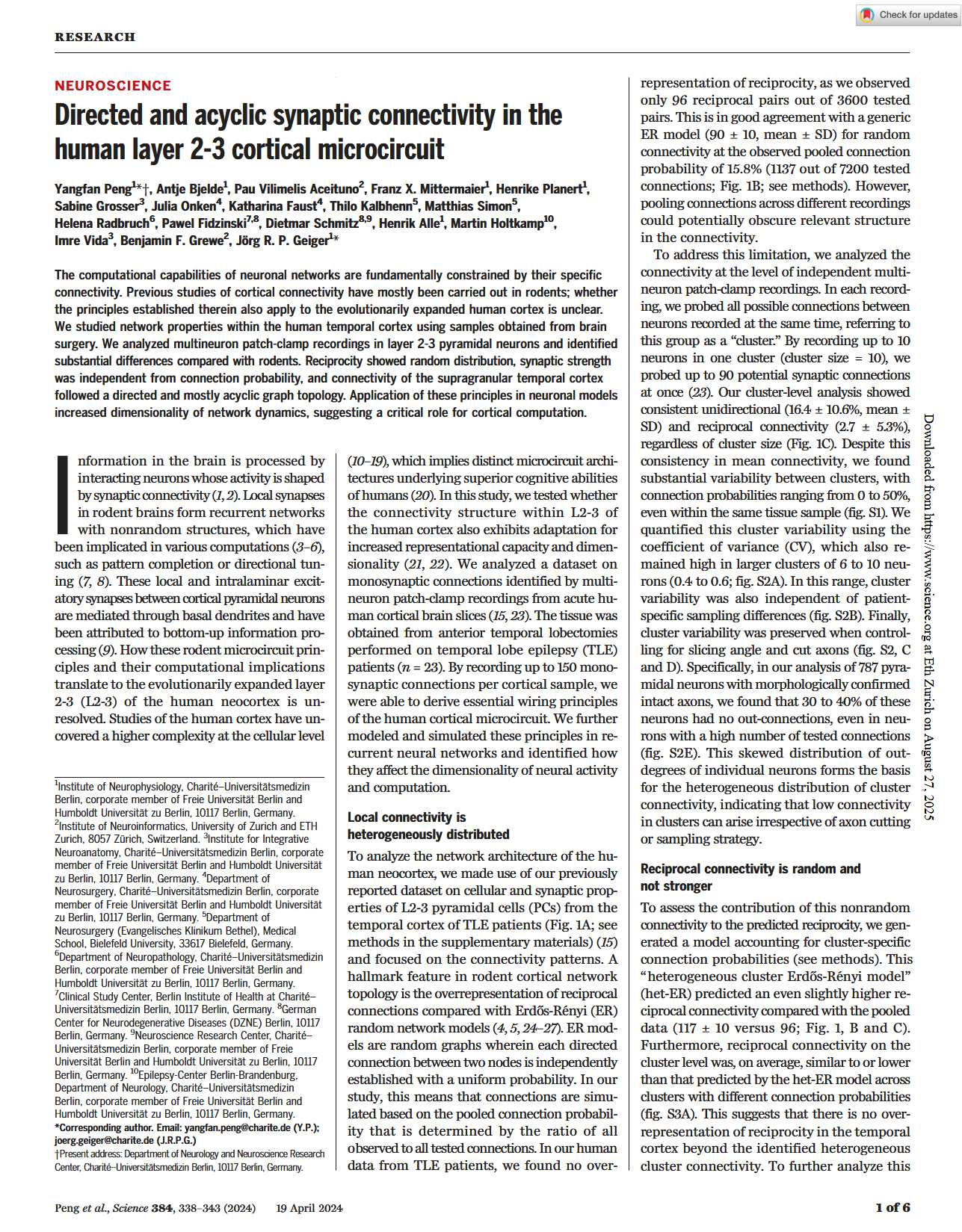 Directed and acyclic synaptic connectivity in the human layer 2-3 cortical microcircuit
