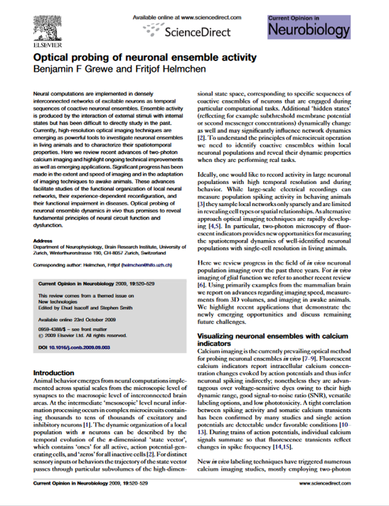 Optical probing of neuronal ensemble activity.