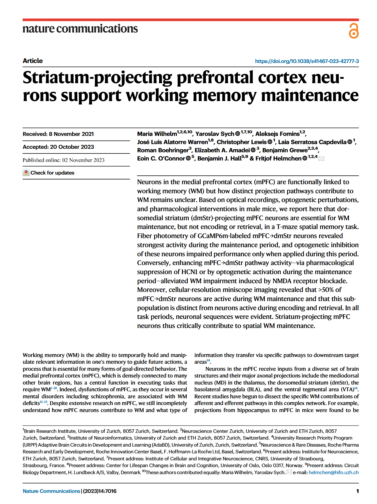 Striatum-projecting prefrontal cortex neurons support working memory maintenance