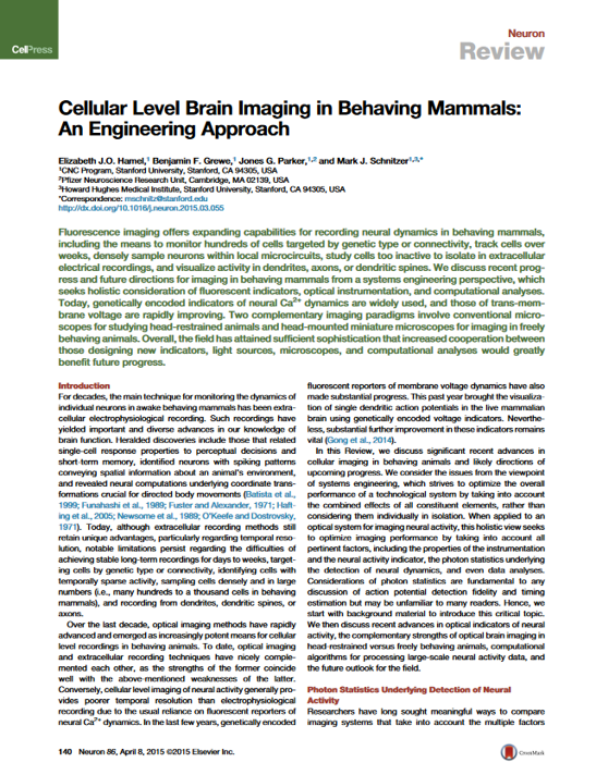 Cellular Level Brain Imaging in Behaving Mammals: An Engineering Approach.