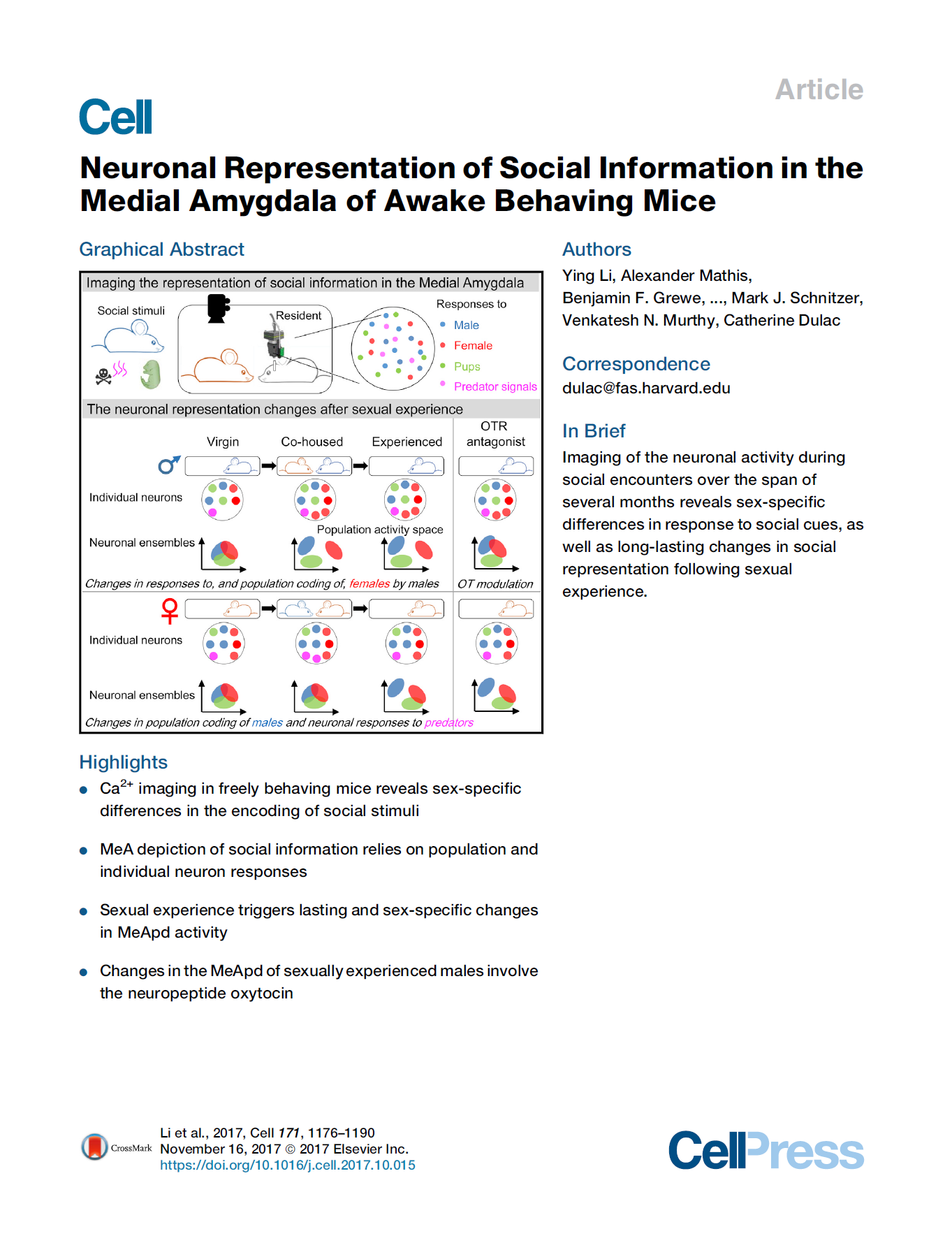Neuronal Representation of Social Information in the Medial Amygdala of Awake Behaving Mice.